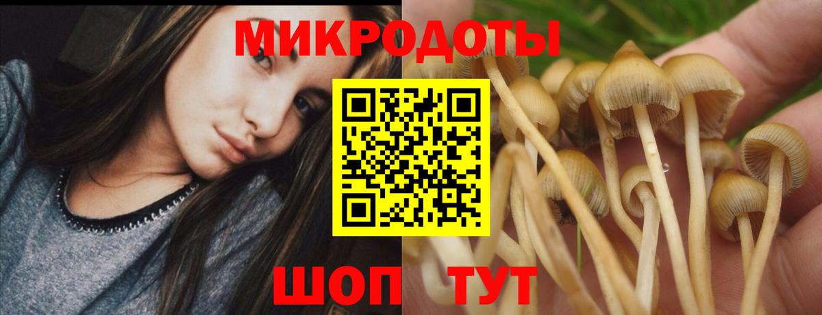 Галлюциногенные грибы Cubensis Карасук